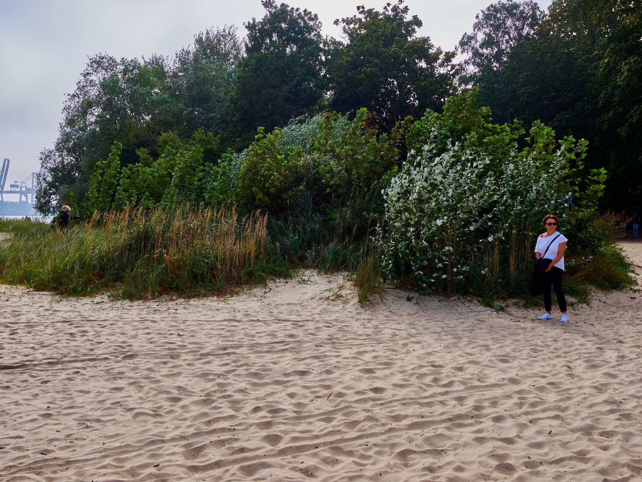 Landschaft 2024  1828 Usedom